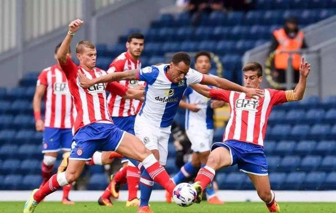 多的高度評 多的高度評